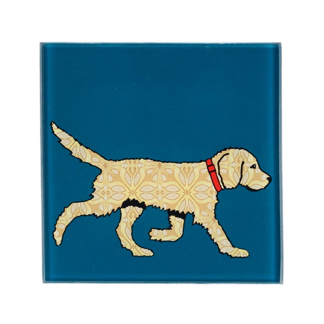 Labradoodle - Strolling Dog - Teal/Blonde Coasters