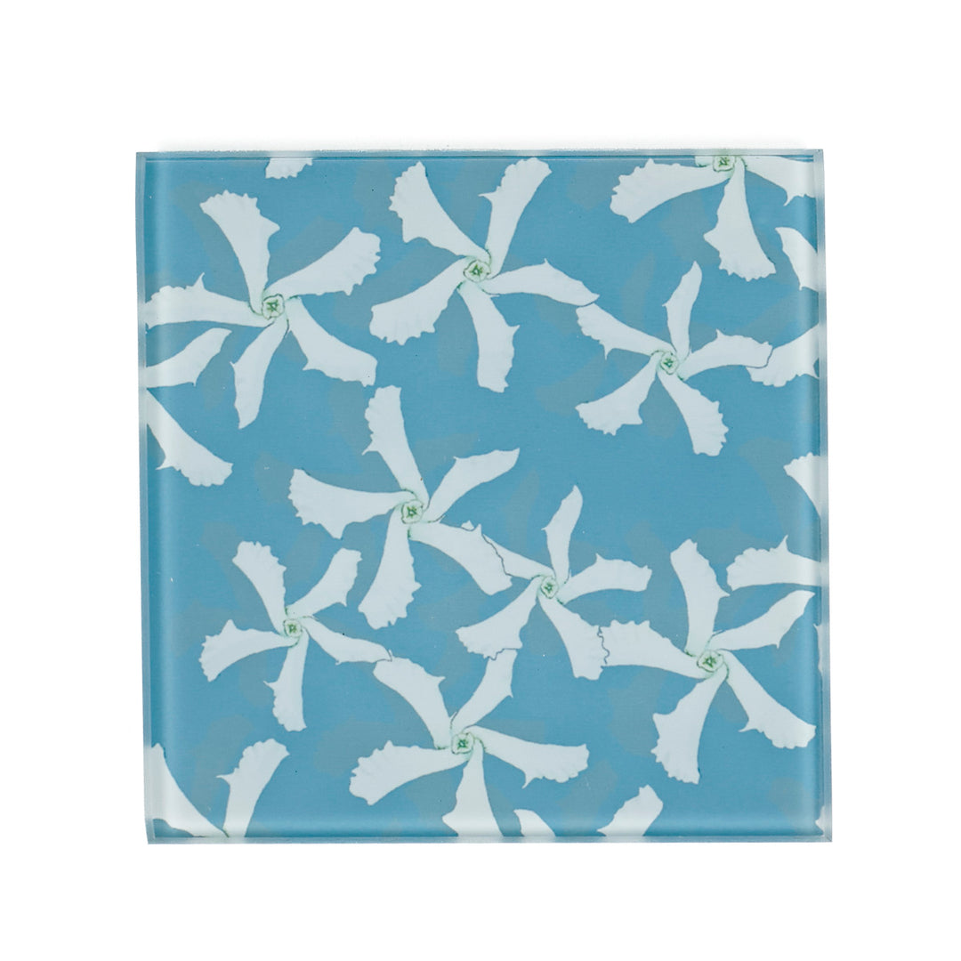 Blue Jasmine Flower Coasters