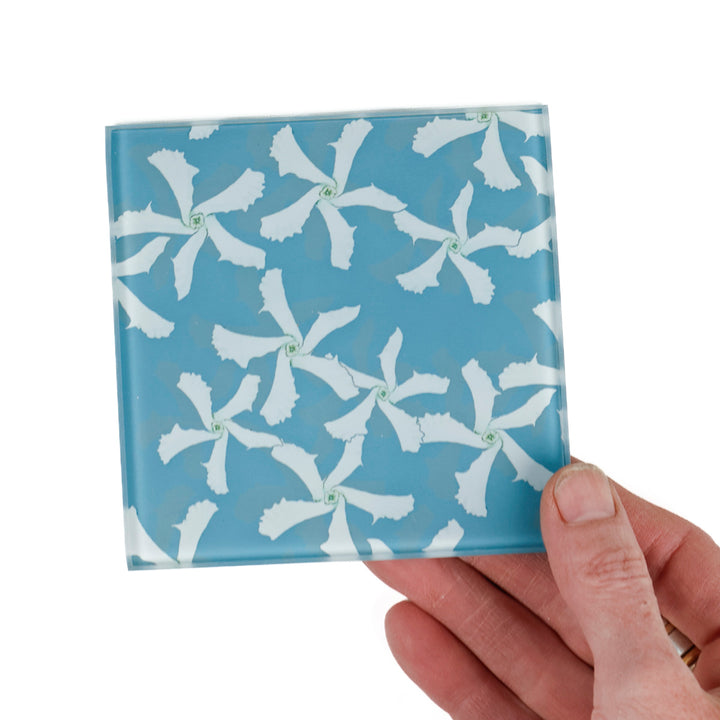 Blue Jasmine Flower Coasters